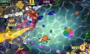 官方星力游戏平台